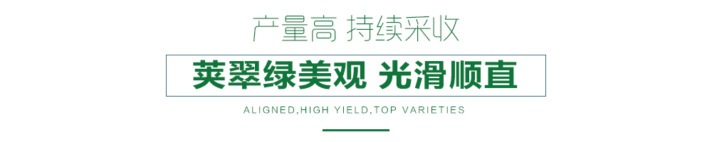 1557994037888340.jpg 詳情頁(yè)24.jpg