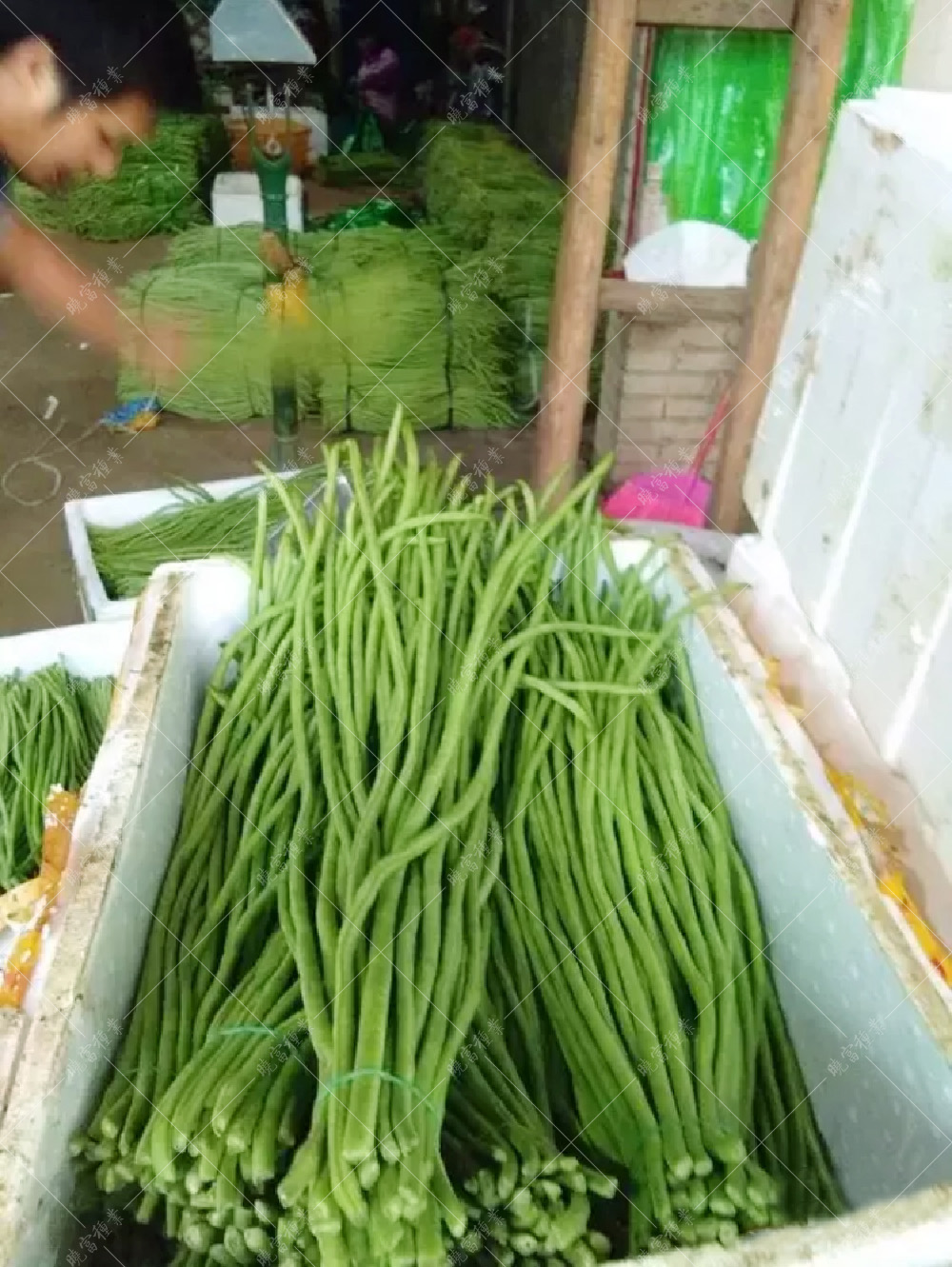 1558055762741119.jpg 5.jpg